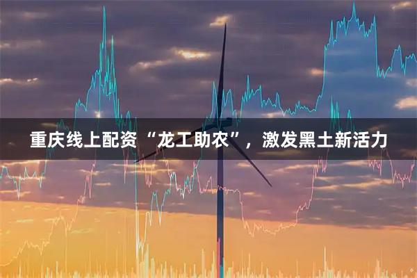 重庆线上配资 “龙工助农”,激发黑土新活力