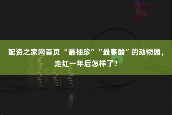 配资之家网首页 “最袖珍”“最寒酸”的动物园，走红一年后怎样了？